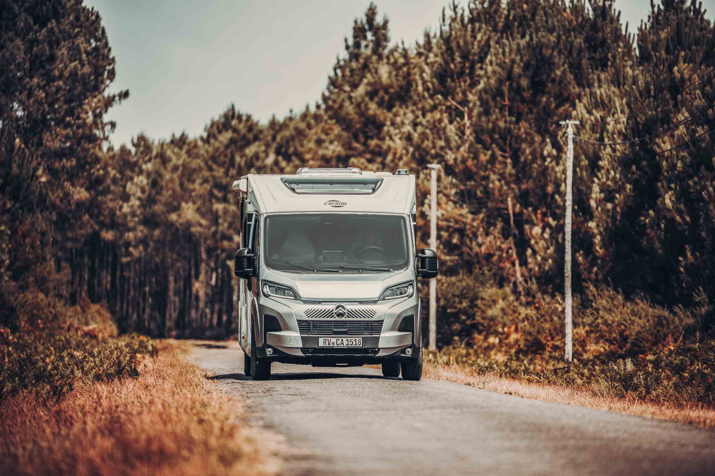 Reisemobil unterwegs im Wald 
