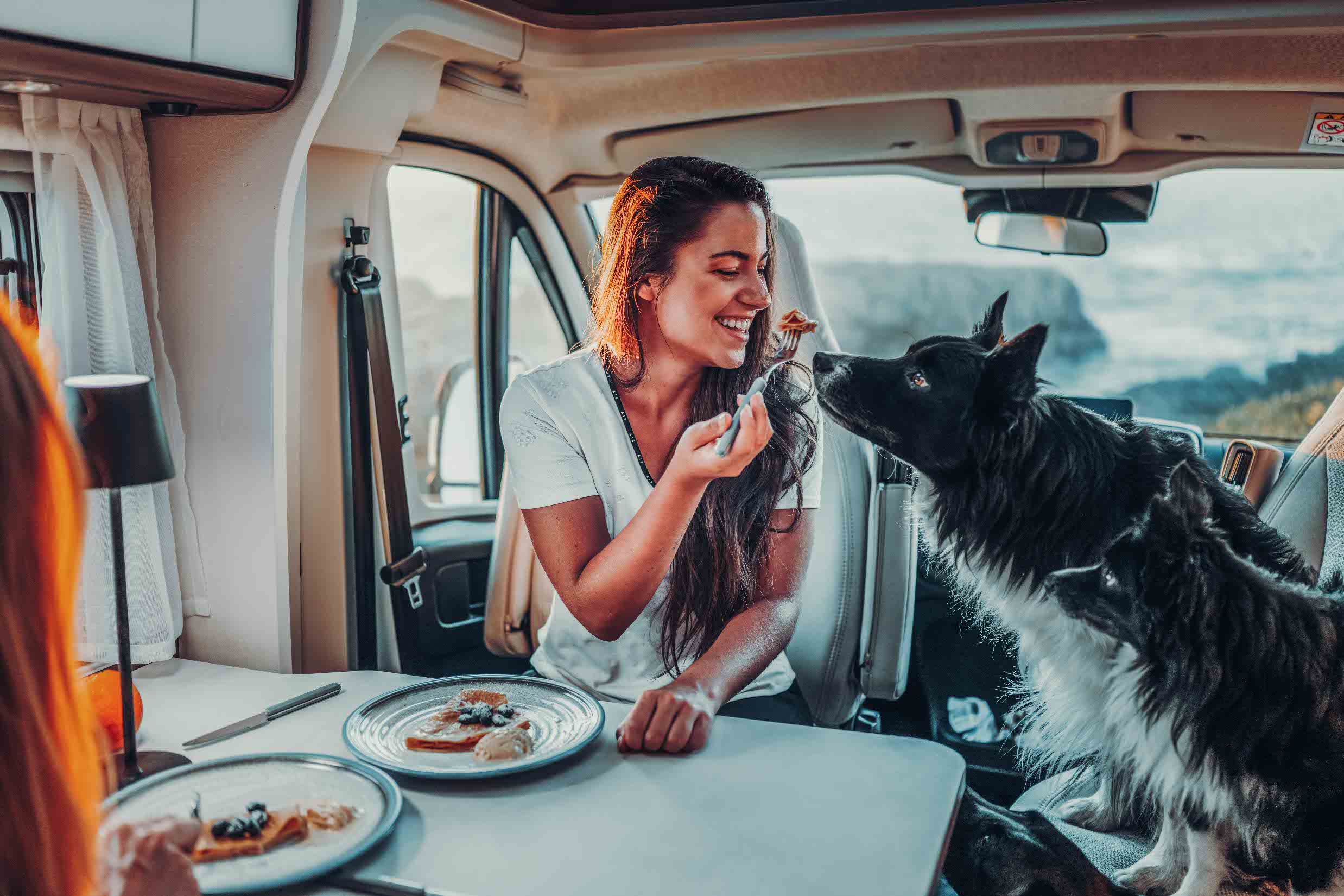 Kvinde med hund i autocamperen under en sommerferie – en afslappet rejse trods heden med tips til afkøling